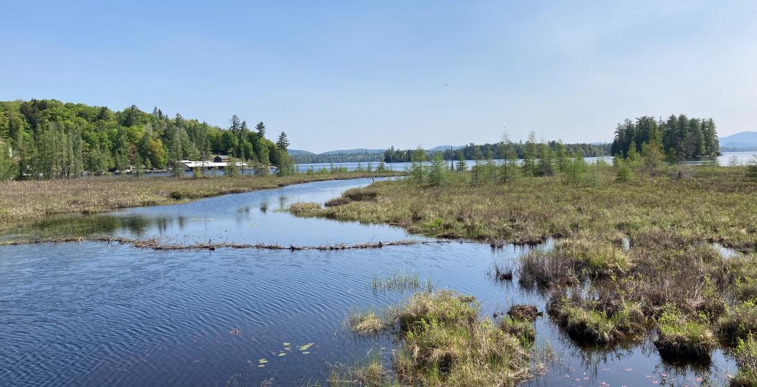 A lake and marshland viewed from a gravel trail.