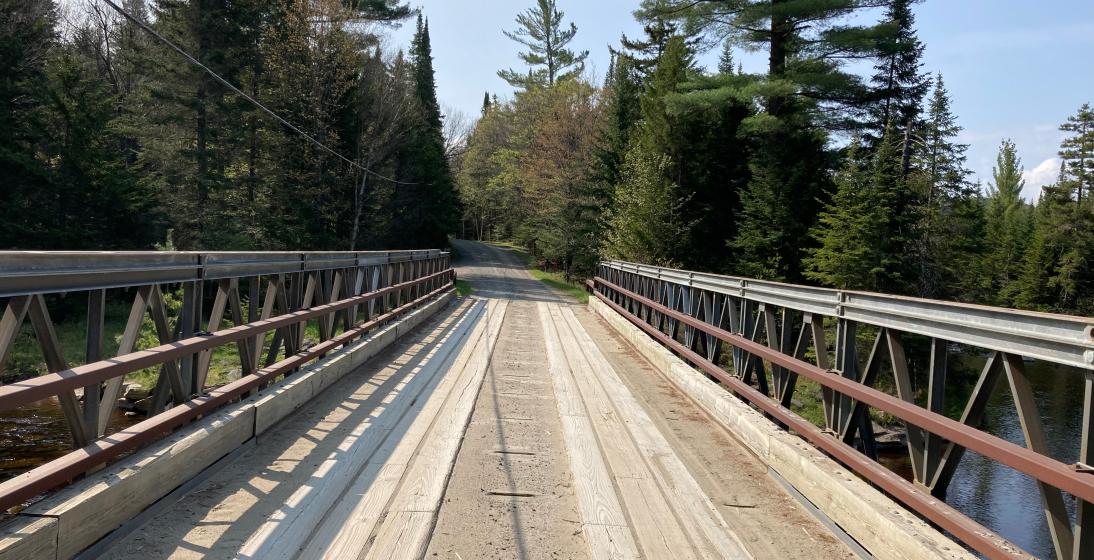 A wooden bridge over a stream leading into the forest. 