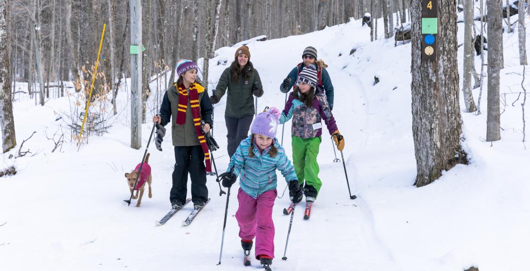 A family of five cross-country skis on a snowy trail. 