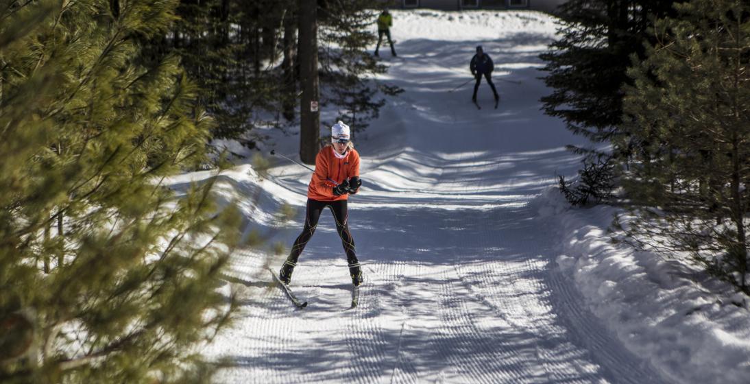 A woman and two other skiers ski down a snowy path.