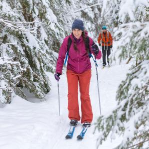 A woman cross-country skiing through the woods after a fresh snowfall