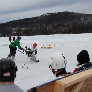 Hockey players on the ice in action