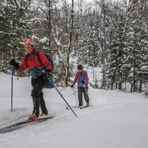 Two people cross country skiing through the woods