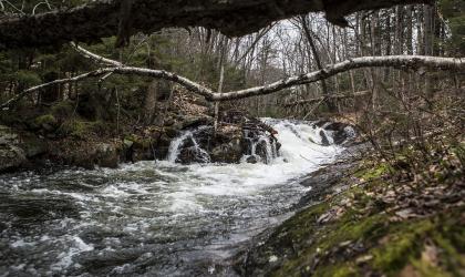 A portion of Limekiln Falls during late fall