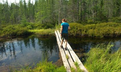 A person crosses a 3-plank wooden bridge.