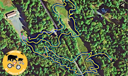 A map of town trails in the forest