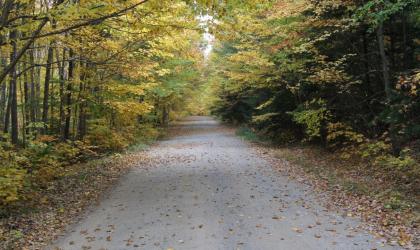 This old road is a favorite day hike.