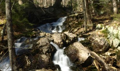 An especially scenic trail leading to a secluded lake.