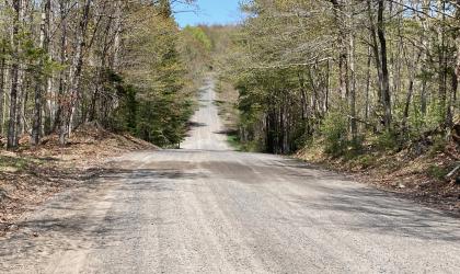 An open gravel trail on a spring day.