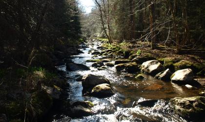 A stream flowing through chunky rocks.