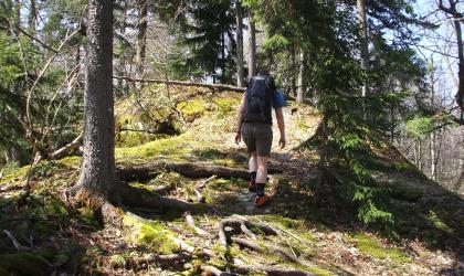 A hiker walks up a