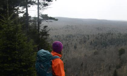 The top of the cliffs has the best view.