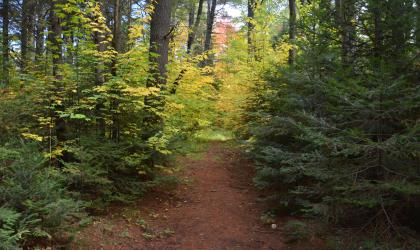 Long, scenic, and secluded, the Kunjamuk River Trail is all you need.