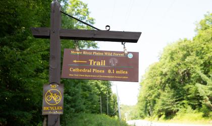 Trail sign for Cathedral Pines