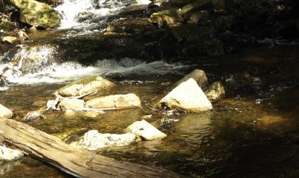 Beautiful surroundings enhance the waterfall near the lake outlet.