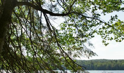 The whole family can enjoy this lake hike.