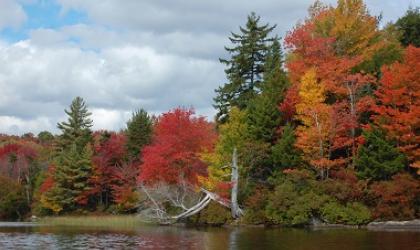 Limekiln Lake is a local favorite for seeing foliage.