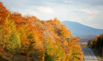 A road cuts through trees during the fall with mountains in the background.