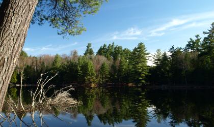 Enjoy the fishing and paddling at Eagle Lake.