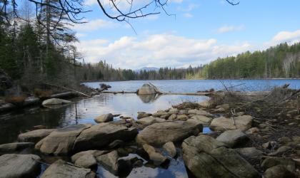 Many lovely pond views along the hiking trails.