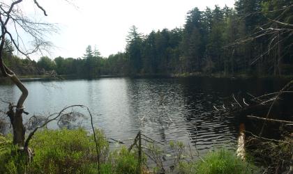 The view from the edge of Barker Pond