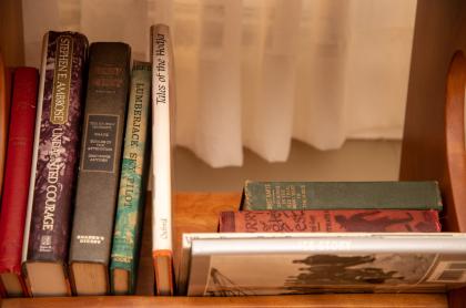 Books on a shelf