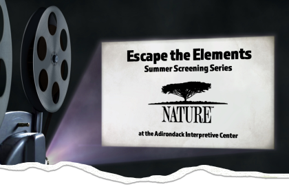 A picture of an old movie reel projector portraying on a white screen the title of the event: Escape the Elements summer screening series