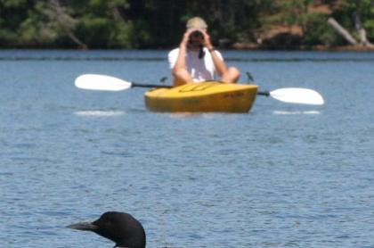 person in a yellow kayak looking through binoculars observing a loon