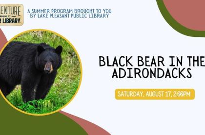 A picture of a black bear on the information poster for the event - black Bear in the Adirondacks