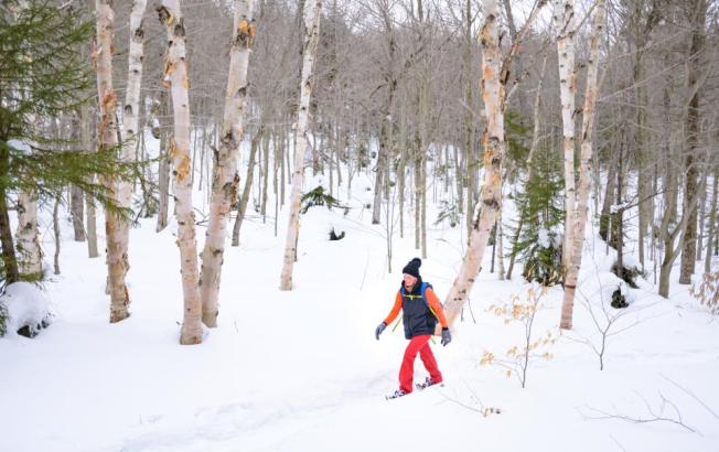 A person snowshoeing in a wooded, snowy forest.