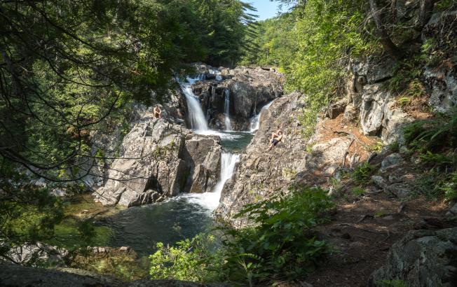 A rocky waterfall surrounded by bright green trees.