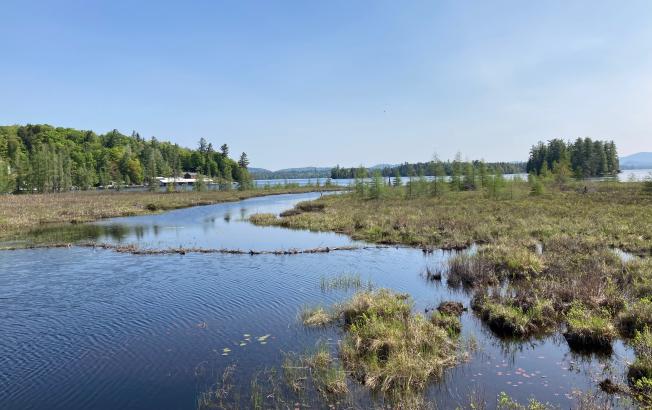 A lake and marshland viewed from a gravel trail.