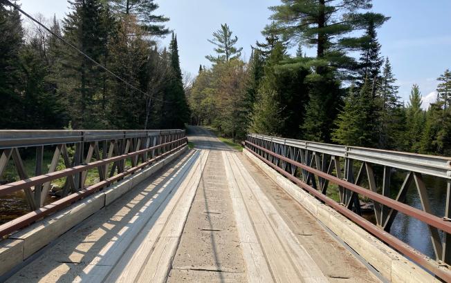 A wooden bridge over a stream leading into the forest.