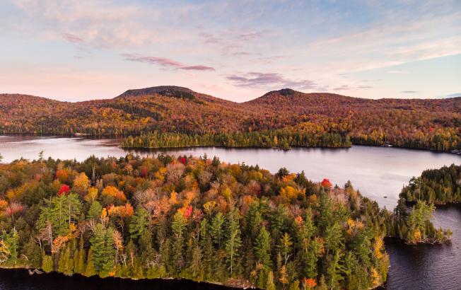Fall