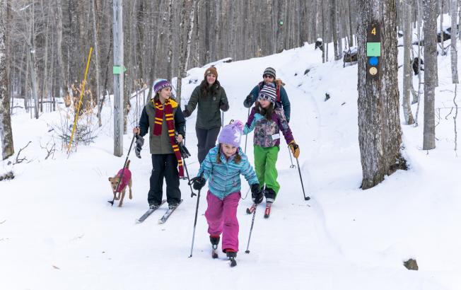 A family of five cross-country skis on a snowy trail.