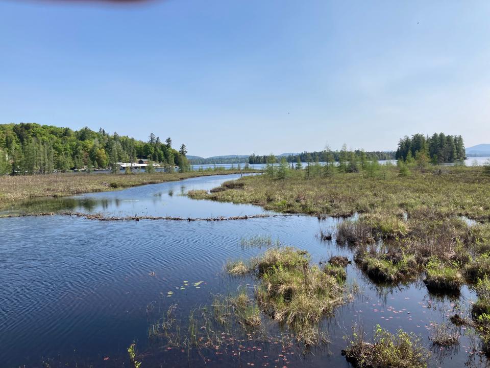 A lake and marshland viewed from a gravel trail.