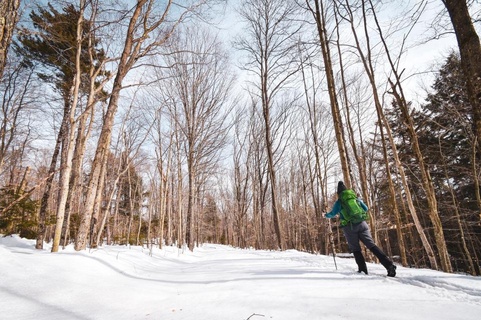 A woman cross-country skiing through the forest