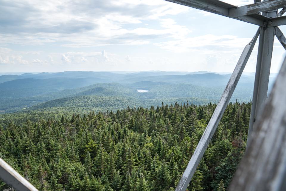 The view from a fire tower