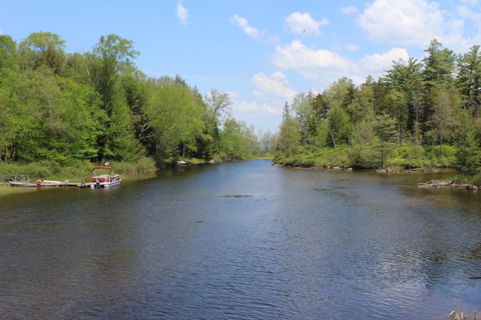 a creek surrounded by spring trees with a pontoon boat in it.