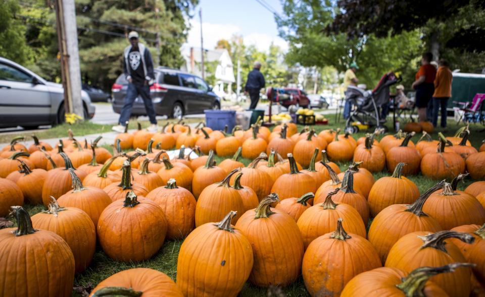 A bunch of pumpkins