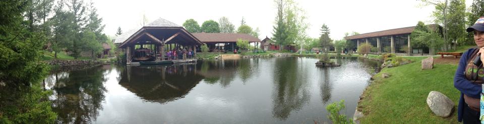 Let's just sit and look at the pond all day.