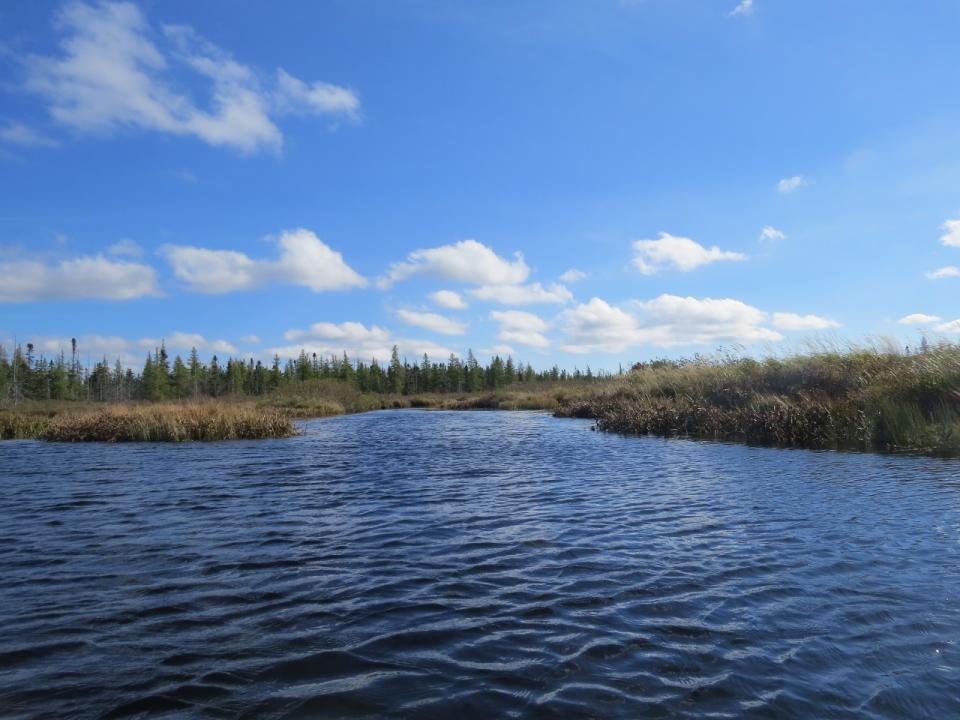 Lake Lila - Shingle Shanty Brook