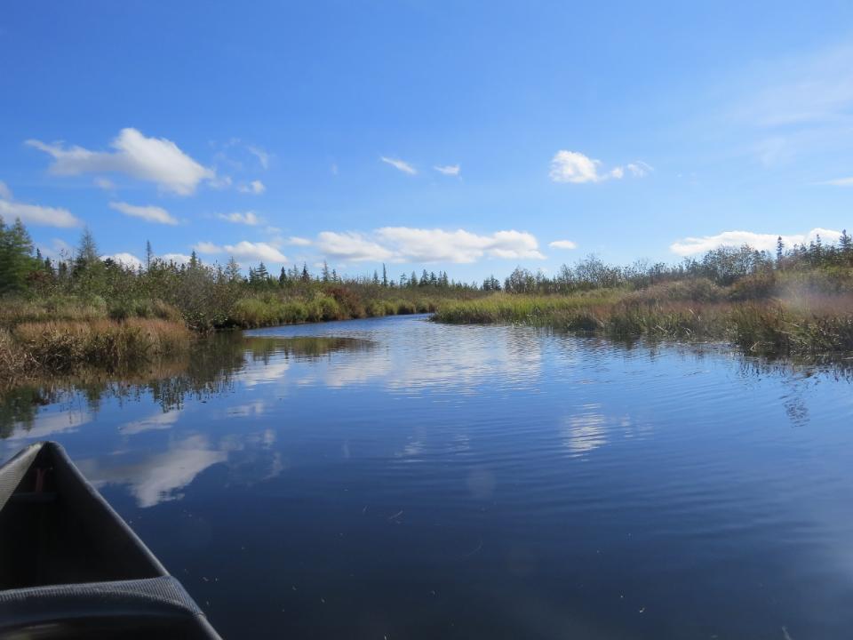 Lake Lila - Shingle Shanty Brook