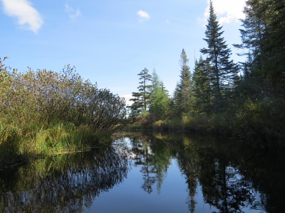 Lake Lila - Shingle Shanty Brook