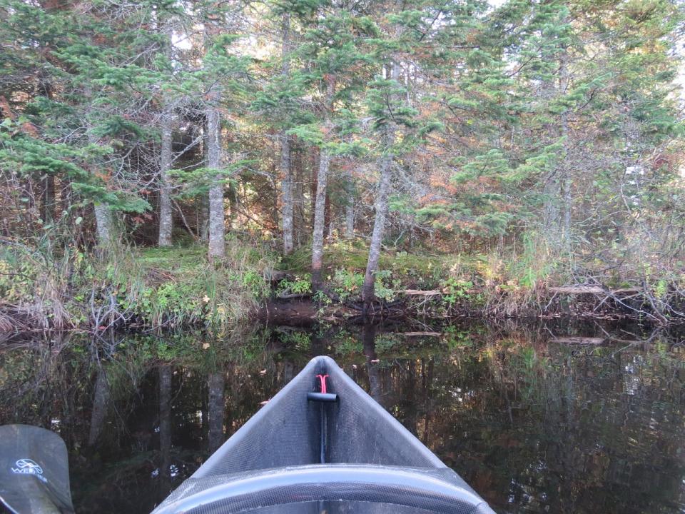 Lake Lila - Shingle Shanty Brook