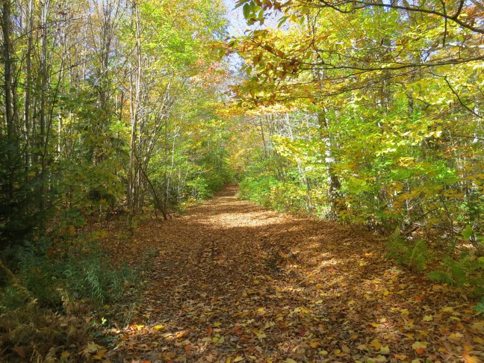 Lake Lila Trail to Frederica Mountain