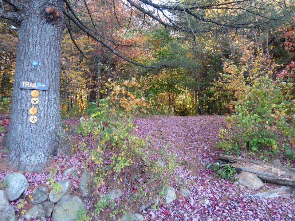 Lake Lila Trail to Frederica Mountain