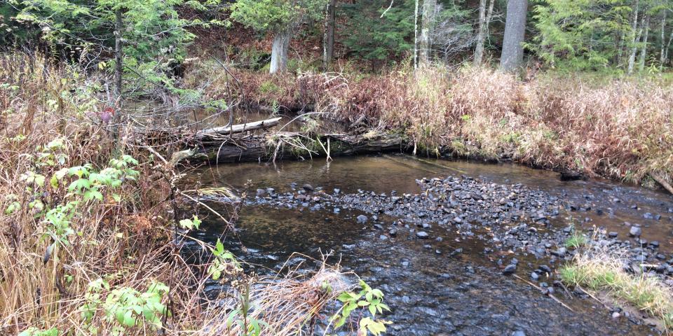 Crossing the creek in the fall