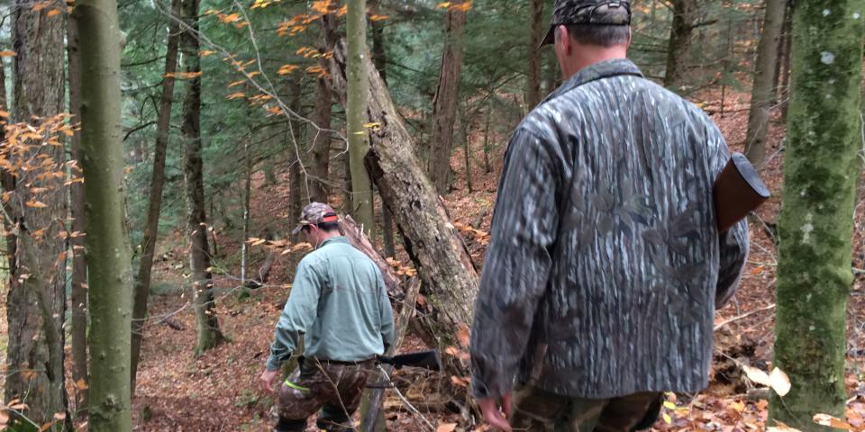 Driving White Tail Deer - Adirondacks, NY