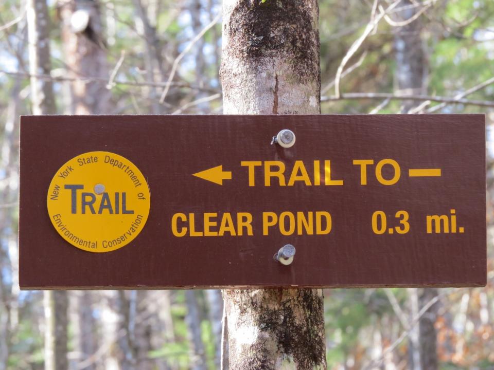 Chain Lakes Road South Clear Pond Trailhead